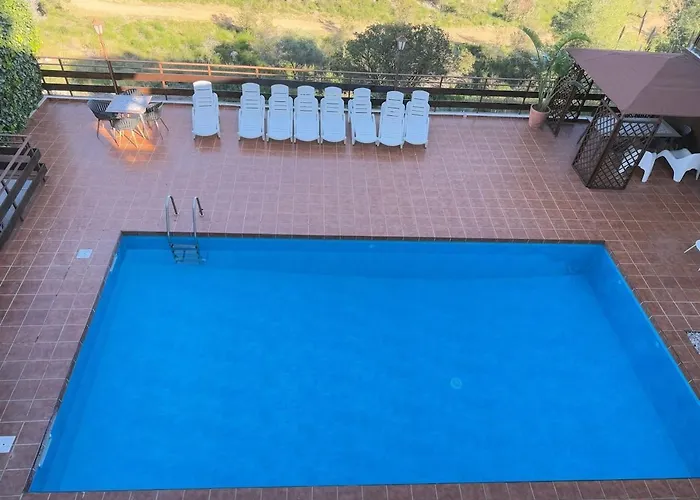 Leonardo Villa *